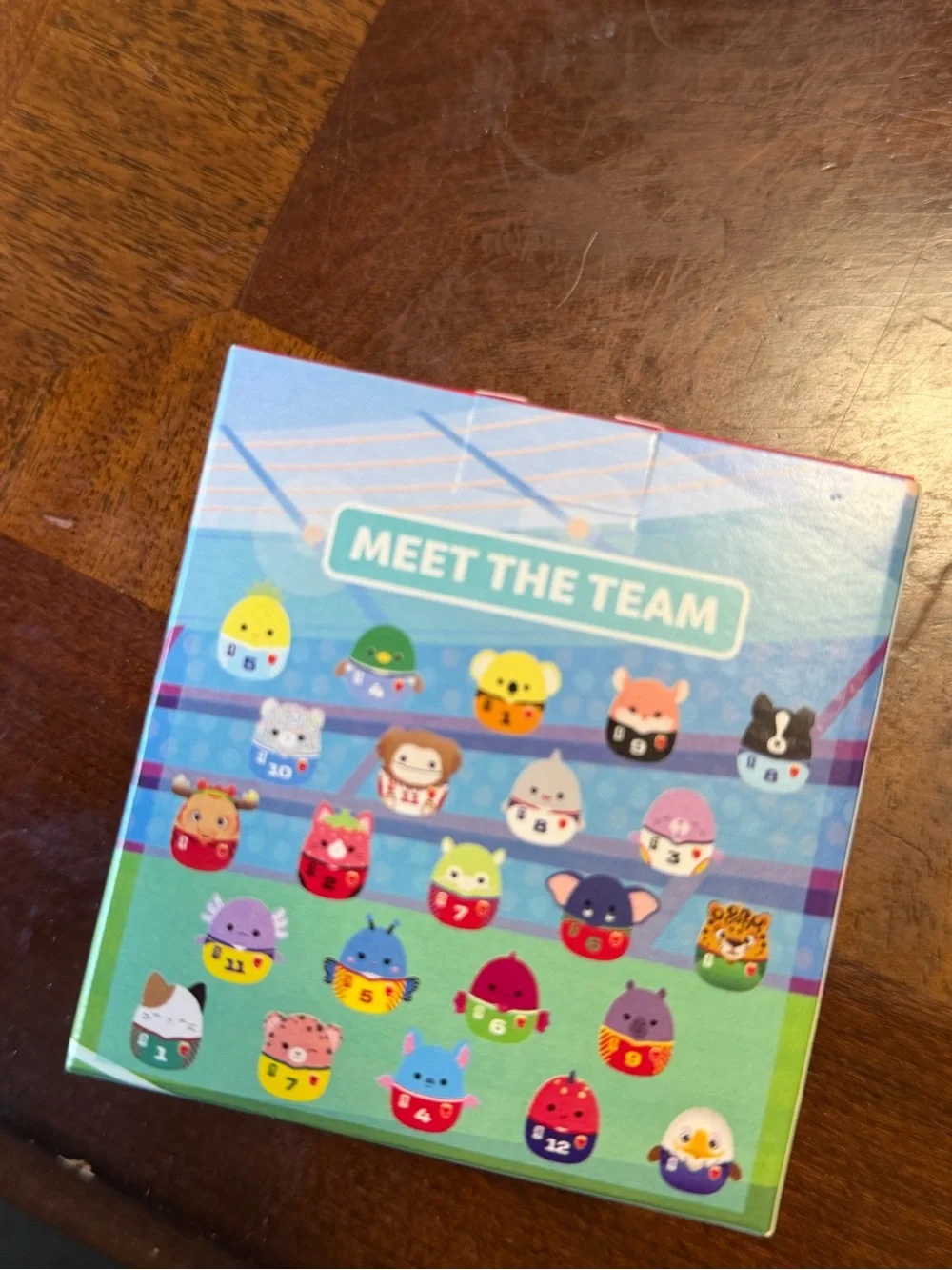 FIFA World Cup McDonald’s Squishmallows ERICA #21